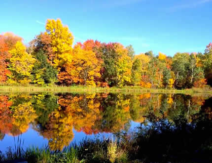 Color photo of colorful trees surrounding a small pond.