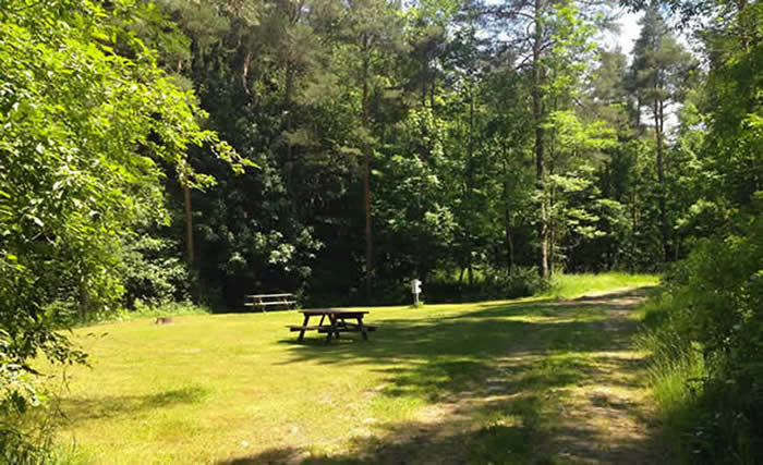 Color photo of secluded campsite with a picnic table. 