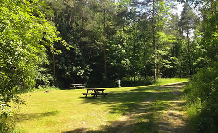 Color photo of secluded campsite with a picnic table. 